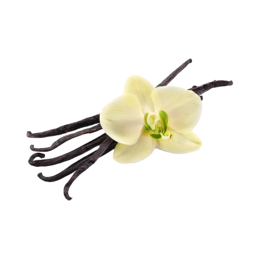 Vanilla Milk Tea image