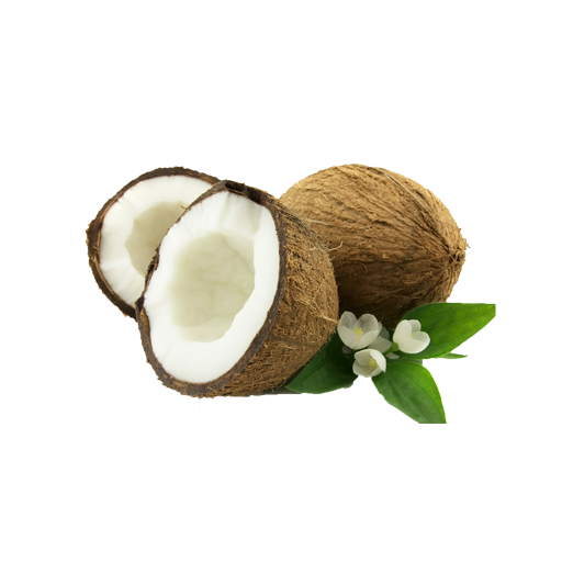 Coconut Milk Tea image